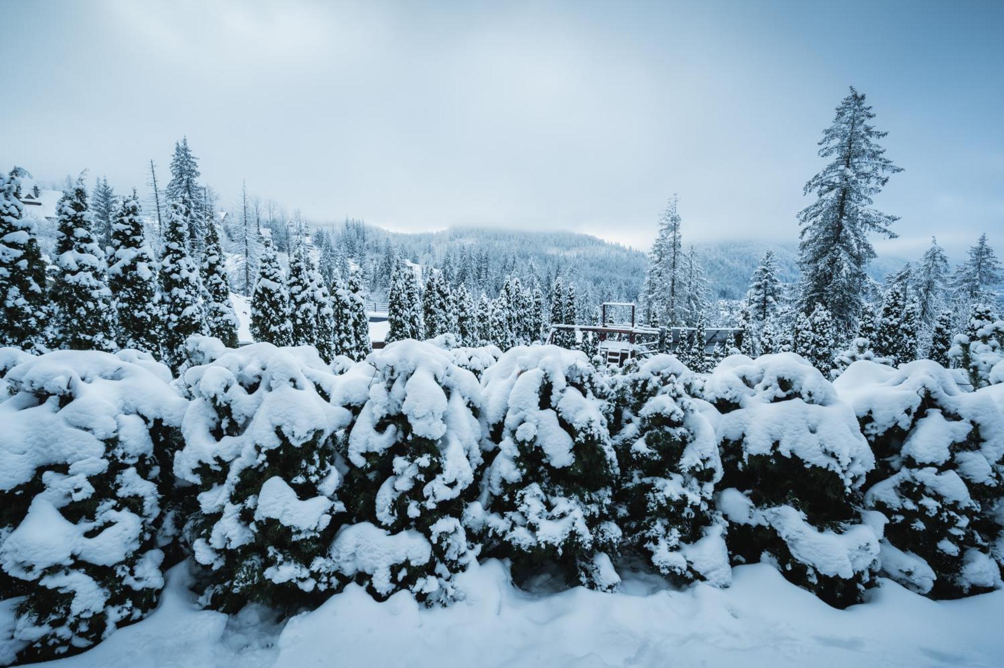 Visitzakopane - Janosik Apartment 외부 사진