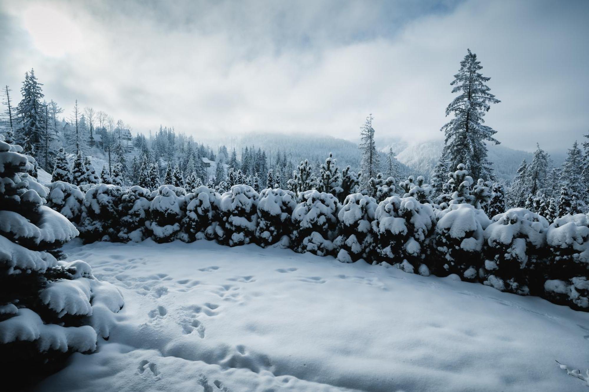 Visitzakopane - Janosik Apartment 외부 사진