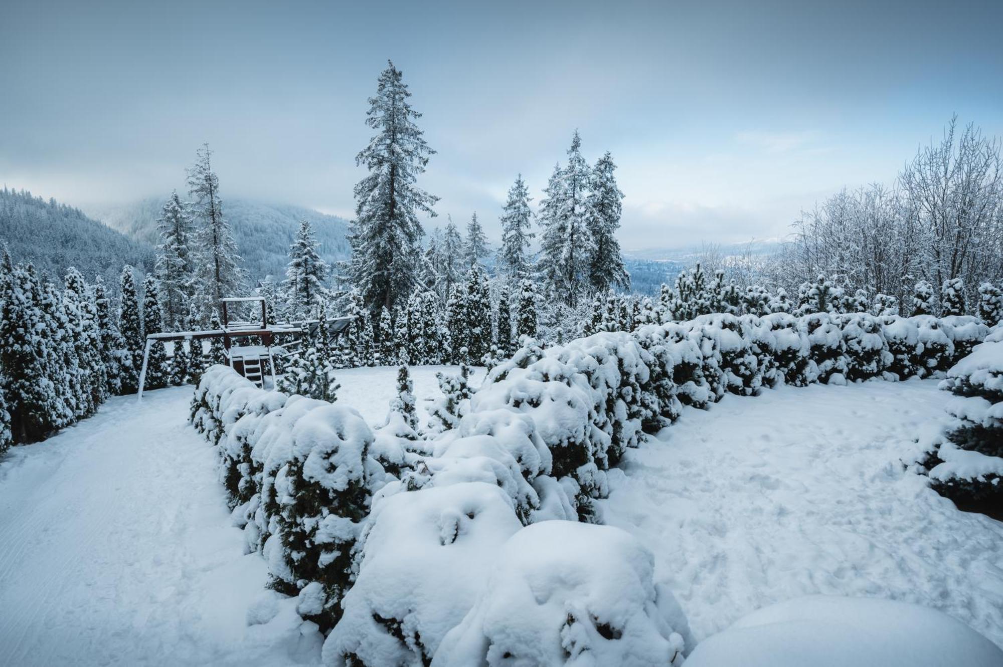 Visitzakopane - Janosik Apartment 외부 사진